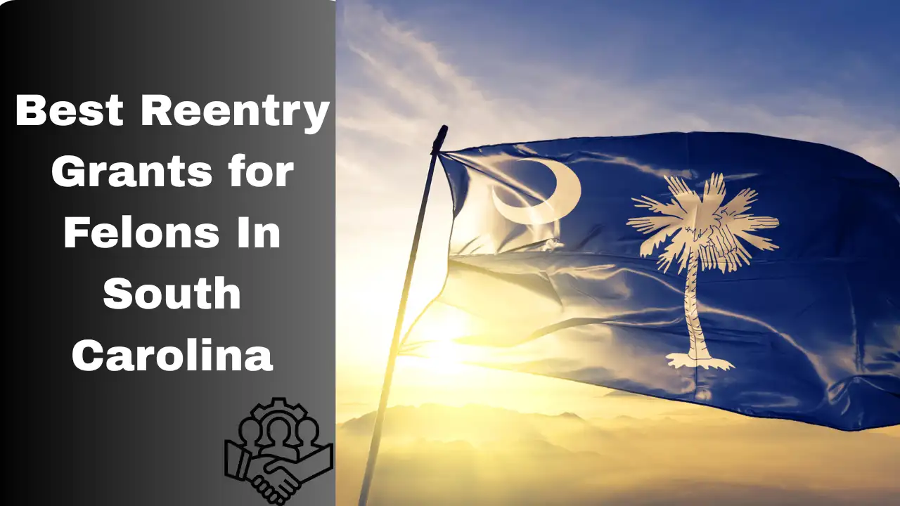 Best Reentry Grants for Felons In South Carolina